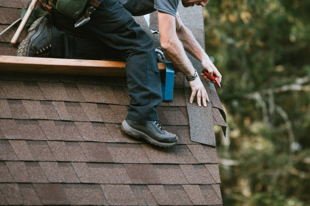 Best Flat Roof Repair Services  in Louisa, KY